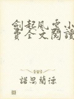 剑起风云小说免费全文阅读