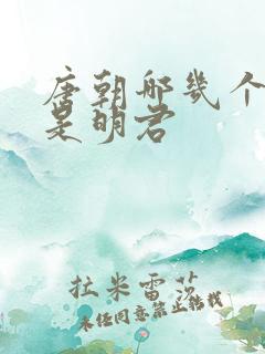 唐朝哪几个皇帝是明君