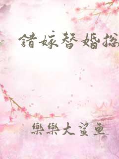错嫁替婚总裁