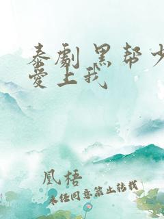 泰剧 黑帮少爷爱上我