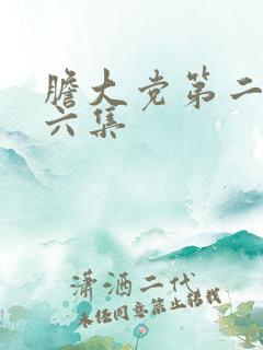 胆大党第二季第六集