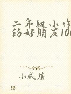 二年级小作文我的好朋友100字