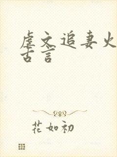 虐文追妻火葬场古言