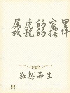 属虎的家里可以放龙的摆件吗