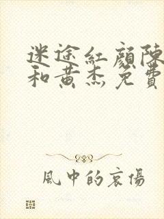 迷途红颜陈梦洁和黄杰免费阅读