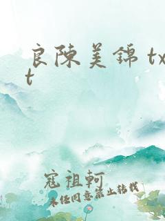 良陈美锦 txt