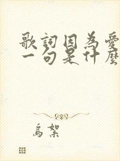 歌词因为爱情下一句是什么