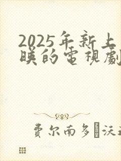 2025年新上映的电视剧