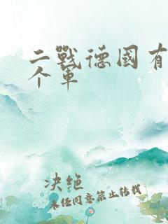 二战德国有多少个军