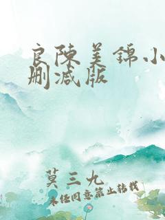 良陈美锦小说未删减版