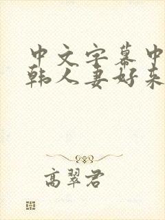 中文字幕中出日韩人妻好来摸