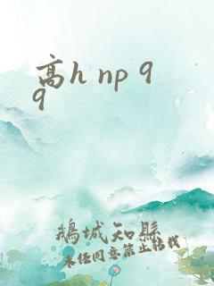 高h np 99