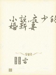 小说,夜少的二婚新妻