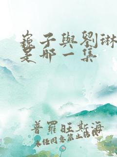 巍子与刘琳吻戏是哪一集