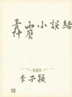 青山小说结局是什么