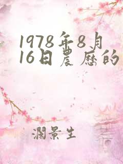 1978年8月16日农历的八字