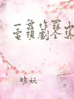 一舞作罢山河寂电视剧全集