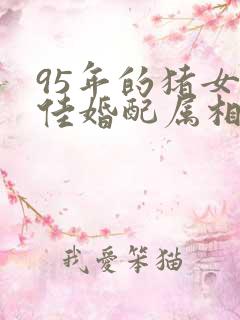 95年的猪女最佳婚配属相