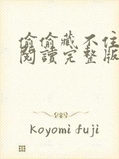 偷偷藏不住免费阅读完整版