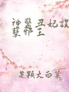 神医丑妃误惹妖孽邪王