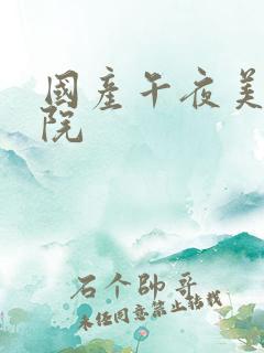 国产午夜美女影院
