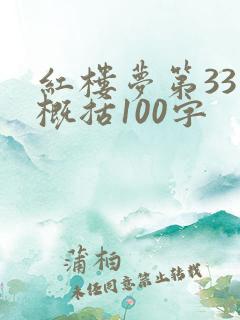 红楼梦第33回概括100字