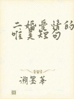 二婚爱情的句子唯美短句