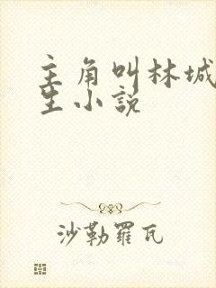主角叫林城的重生小说