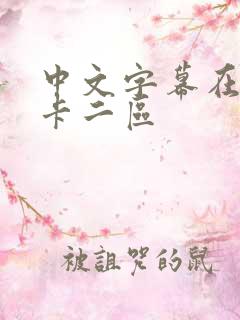 中文字幕在线不卡二区