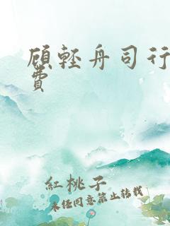 顾轻舟司行霈免费