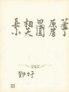 长相思原著相柳小夭圆房了吗