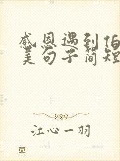 感恩遇到伯乐唯美句子简短