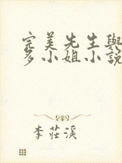 完美先生与差不多小姐小说