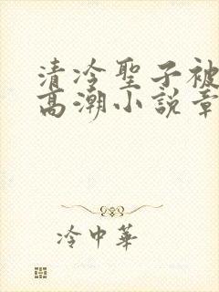 清冷圣子被c到高潮小说章节列表