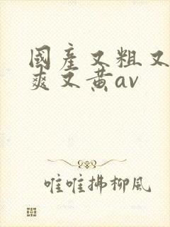 国产又粗又猛又爽又黄av