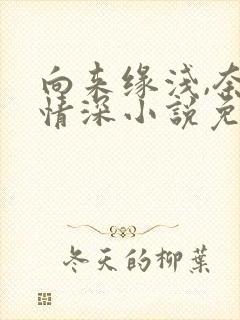 向来缘浅,奈何情深小说免费看