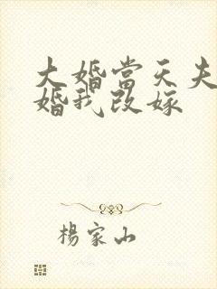 大婚当天夫君逃婚我改嫁