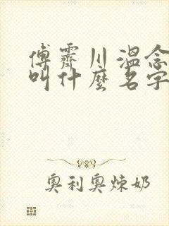 傅霁川温念小说叫什么名字
