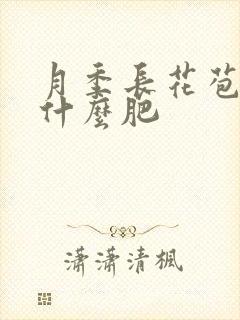 月季长花苞了施什么肥