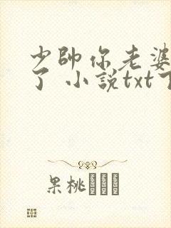 少帅你老婆又跑了 小说txt下载