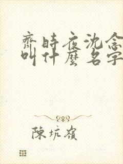 齐时夜沈念小说叫什么名字
