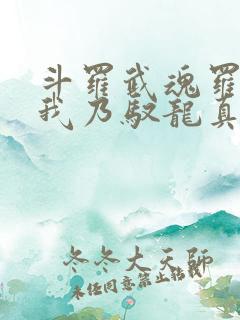 斗罗武魂罗三炮我乃驭龙真君