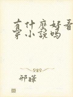 有什么好看的快穿小说吗