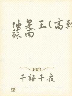 他是王(高干)苏南