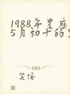 1988年农历5月初十的生辰八字
