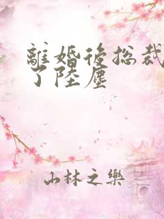 离婚后总裁后悔了陆尘