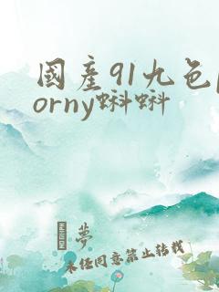 国产91九色porny蝌蚪