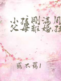 小孩刚满周岁,父母离婚,孩子归谁