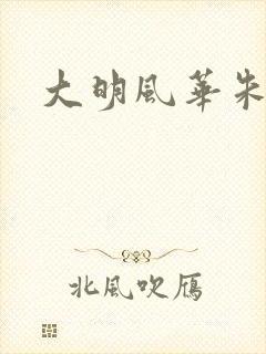 大明风华朱棣