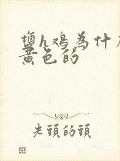 盐h鸡为什么是黄色的